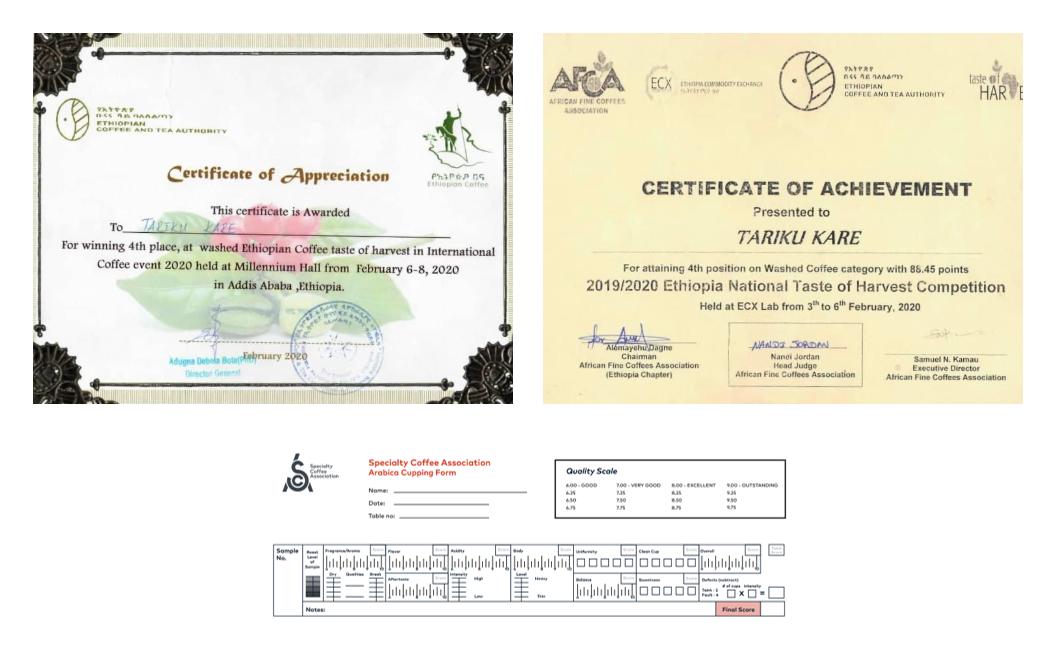 스페셜티 커피 인증서